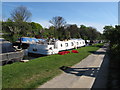 TQ2282 : The Max & Belle - canal boat on Paddington Arm, Grand Union Canal by David Hawgood