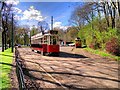 SD8303 : Heaton Park Tramway, Outside the Museum by David Dixon