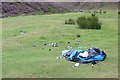 NS8410 : Litter, Mennock Pass by Richard Webb