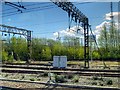 SJ3789 : Overhead Gantries and Gas Holder near Edge Hill Station by David Dixon