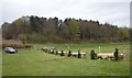 SJ5567 : Kelsall Hill Horse Trials: cross-country fence 8 by Jonathan Hutchins