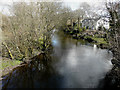 SN6556 : The Afon Teifi from Pont Llanio by John Baker