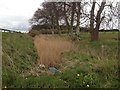  : Drainage ditch alongside the A90 by Steven Brown