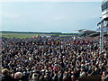 TL6262 : Packed crowd at The Rowley Mile Racecourse, Newmarket by Richard Humphrey