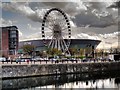 SJ3489 : Dukes Dock, Liverpool Wheel and Echo Arena by David Dixon