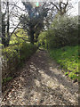 TM3372 : Churchyard path to the B1117 Church Road by Geographer