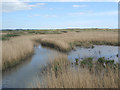 SS7883 : A view from the Wales Coast Path footbridge over the River Kenfig by eswales