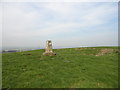 NZ1446 : Triangulation point on Humber Hill by Robert Graham