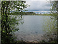 SJ8462 : View north across Astbury Mere by Stephen Craven