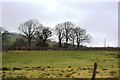  : Farmland, Afon Twymyn Valley by N Chadwick