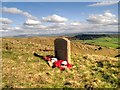 SD7738 : Pendle Hill Memorial to WWII Airmen by David Dixon