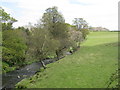 NS9965 : The south bank of the River Almond at Blackburn by M J Richardson