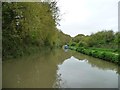 ST8459 : The Kennet & Avon Canal, between bridges 169 and 170 by Christine Johnstone