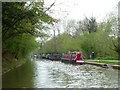 ST8160 : Animal access on the Kennet & Avon Canal by Christine Johnstone