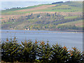 NH5861 : Cromarty Bridge by Oliver Dixon