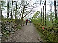 NY2722 : Public footpath through Springs Wood by Christine Johnstone