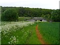 TL3720 : Bridleway under the A10 near Colliers End by Bikeboy