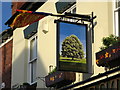 SP3178 : Pub Sign at The Chestnut Tree by Keith Williams