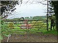 SU2462 : Field gates above Wolfhall Farm by Christine Johnstone