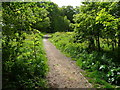 SE1327 : Path in Jagger Park Wood, North Bierley by Humphrey Bolton