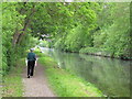 TQ0587 : Grand Union Canal near Denham by David Hawgood