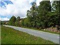 SH6944 : A496 heading to Blaenau Ffestiniog by Christine Johnstone