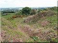 NZ1206 : Gayles Quarry by Mick Garratt