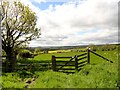 NZ0856 : Field gate on the path to Morrowfield by Robert Graham