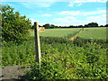 TQ5398 : Public footpath near Navestock Heath, Essex by Malc McDonald