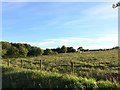 SJ8047 : Alsagers Bank: field between High Lane and Silverdale Country Park by Jonathan Hutchins