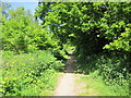 SJ5173 : Footpath at Wheeldon Copse by Jeff Buck