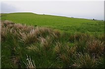  : Upland grazing by Philip Halling