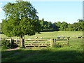 SO9464 : Gate in Hanbury Hall Estate with path towards church by Jeff Gogarty