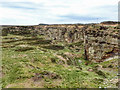 NZ0941 : Huts Quarry by Mick Garratt