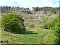 SH6441 : Felled hillside, west of Creuau by Christine Johnstone