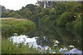 TL4612 : River Stort below Harlow Lock by Christopher Hilton