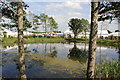 SJ7077 : The Pond at Clay House Farm by Jeff Buck