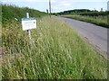 SK9917 : Roadside Nature Reserve alongside Holywell Road by Marathon