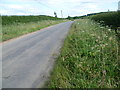 SK9917 : Roadside Nature Reserve alongside Holywell Road by Marathon