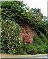 SO7192 : Castle Hill outcrop, New Road, Bridgnorth by Jaggery