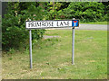 TM0481 : Primrose Lane sign by Geographer