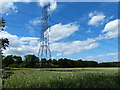 SK1115 : Farmland and pylon next to the Trent & Mersey Canal by Mat Fascione