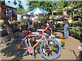 SP9211 : The Yarn Bombed Bike surrounded by flowers on Tring's Market Day by Chris Reynolds