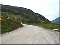 NM9080 : Track at Glenfinnan by Malc McDonald