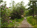 NM8980 : Path at Glenfinnan by Malc McDonald