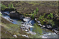 NN3088 : Rapids on the River Roy by Nigel Brown