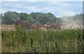 TL0599 : Cook's Hole Quarry near Wansford by Richard Humphrey