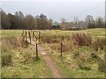 SO5075 : Footbridge north of the Linney by Hugh Craddock