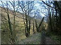 SX4371 : Tamar Valley Discovery Trail near Gunnislake by Derek Harper