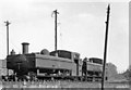 SO6302 : GWR-design '16XX' 0-6-0PTs at Lydney Shed, 1962 by Ben Brooksbank